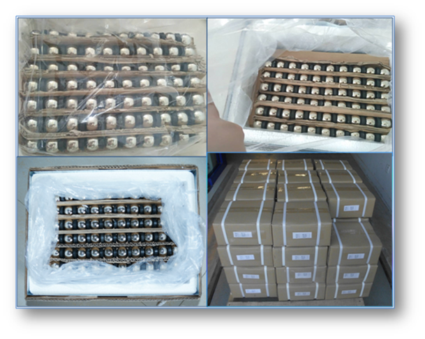 D25mm-N50-Magentic Balls.png